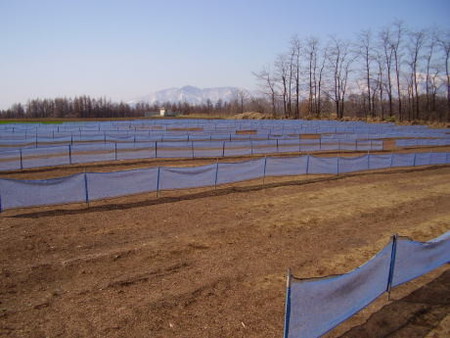 070502-04.jpg