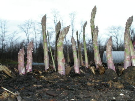 5-10-04.jpg