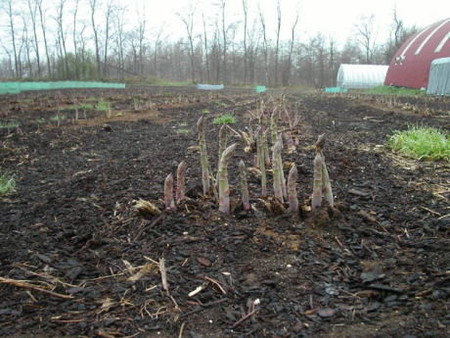 5-9-02.jpg