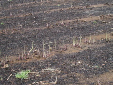 5-9-03.jpg