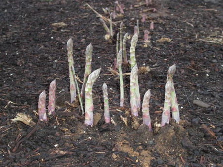 5-9-04.jpg