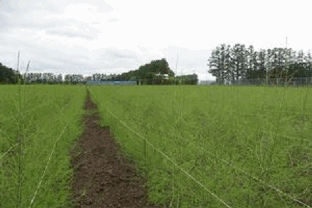 image31-1.jpg