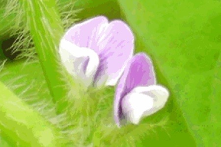 image50-1.jpg