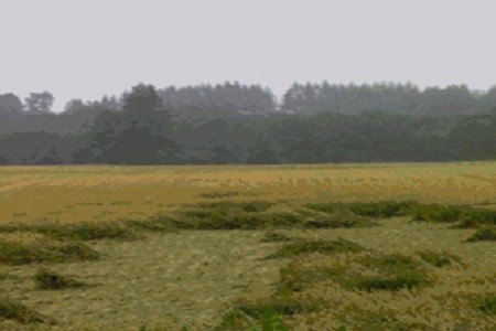 image55-3.jpg