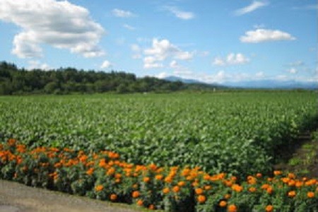 image9-1.jpg