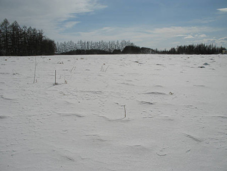 photo03-01.jpg