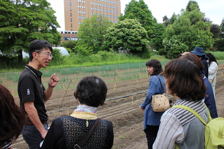 ⑤北大とべジョージャパンの試験圃場を見学(奥が玉ねぎ畑で手前が人参畑です).JPG